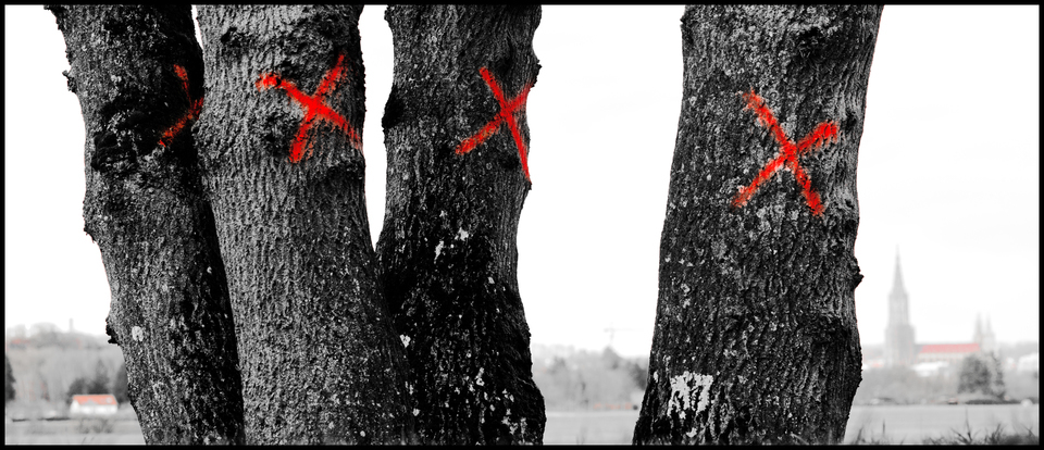 Four Red Crosses II - ID 010953