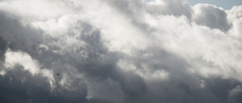 Shades of Grey and Plane I - ID 010976