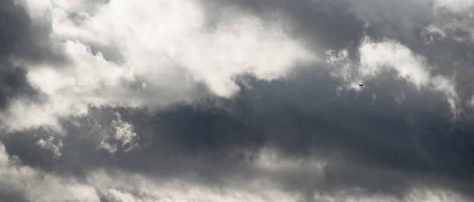 Shades of Grey and Plane II - ID 010977