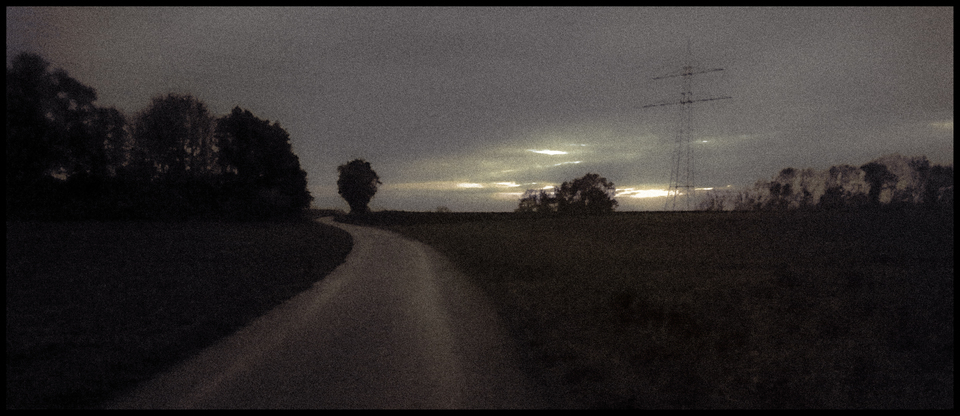 Evening Walk IV - ID 011014