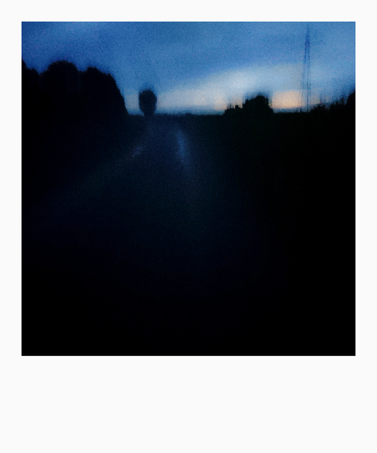 Evening Walk V - ID 011015