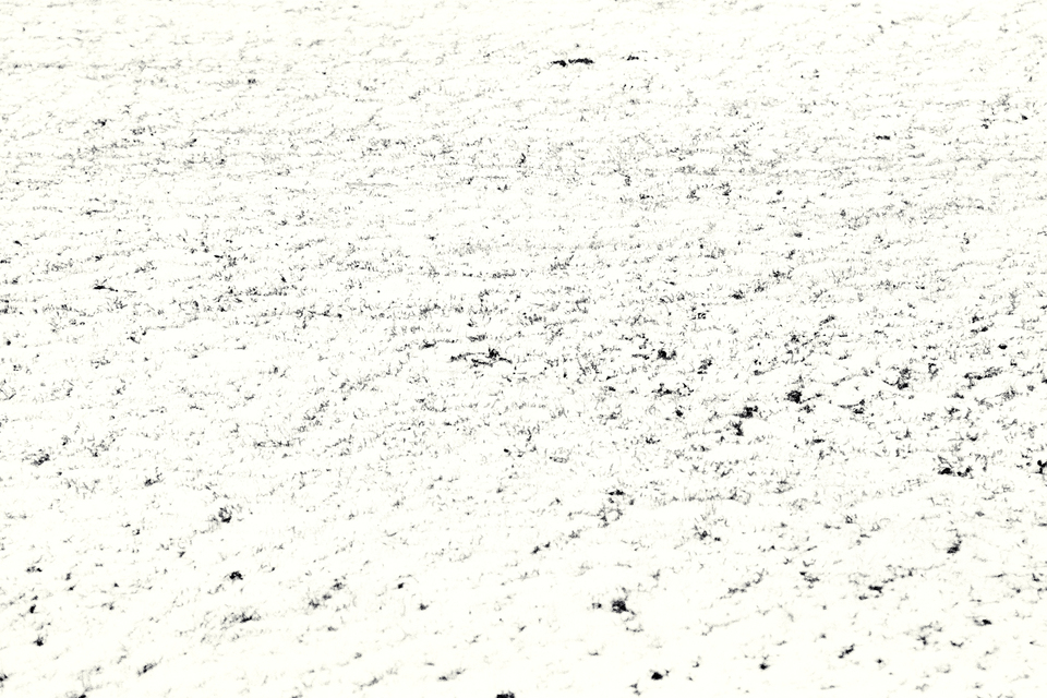 Snow on grass field - ID 011025