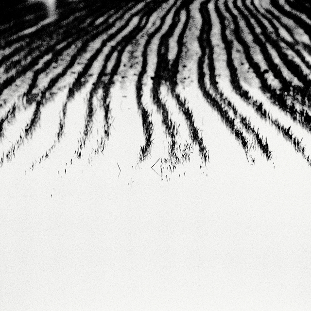 Field under Water I - ID 011027