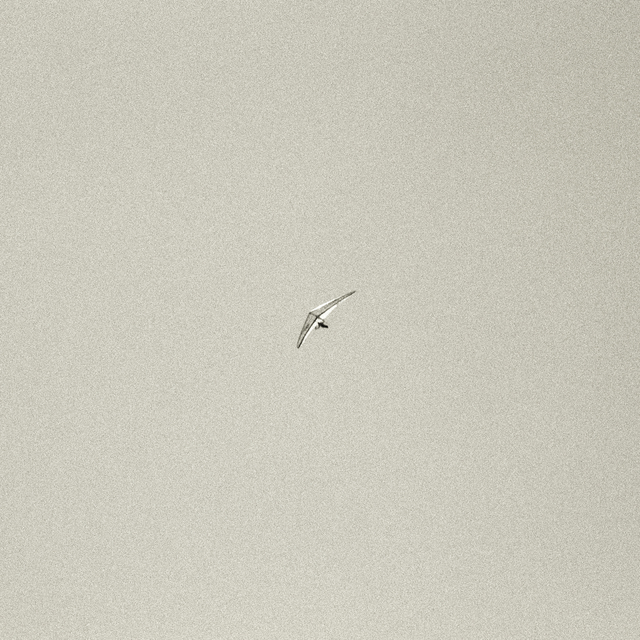 Hang Gliding - ID 011051