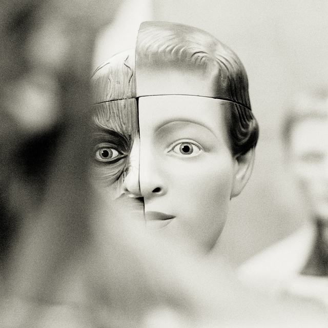 Anatomy I - ID 011052