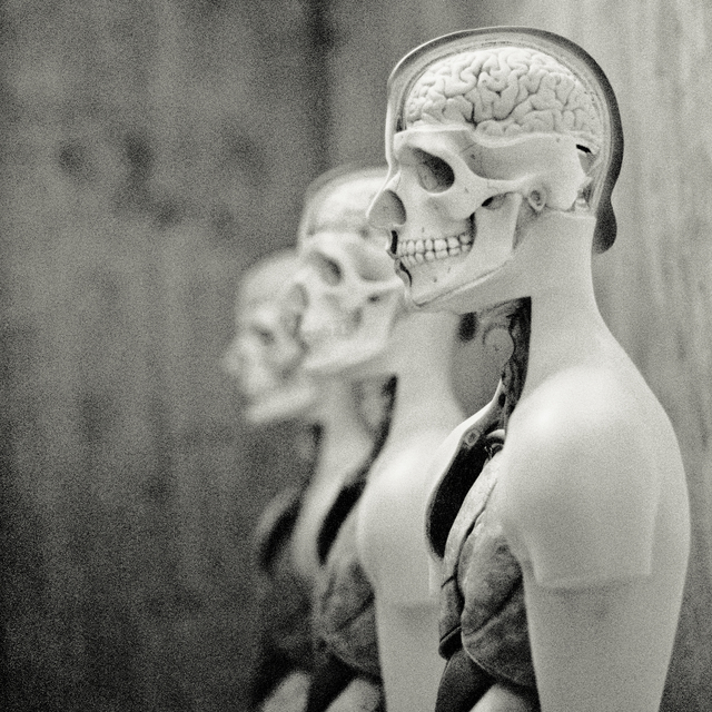 Anatomy IV - ID 011055