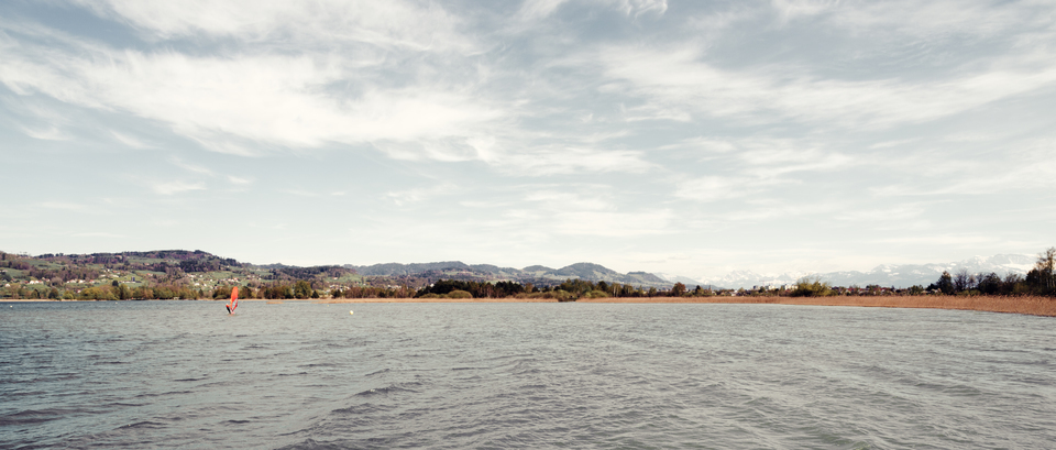 Swiss Surfing - ID 011088