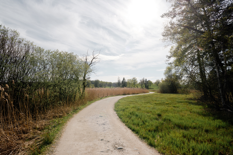 Swiss Walk II - ID 011091