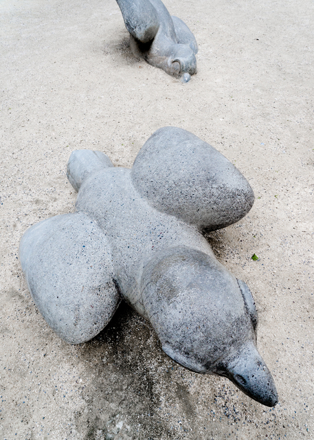 Concrete Sparrow III - ID 011099