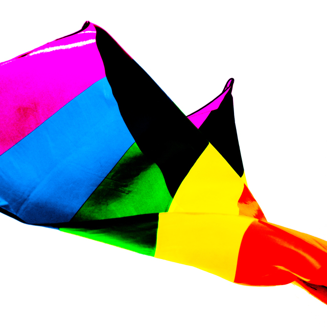 Rainbow Flag II - ID 011110