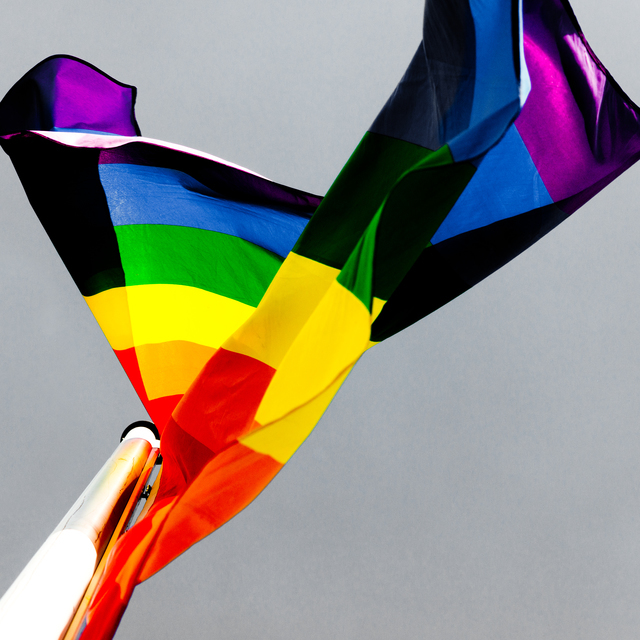 Rainbow Flag III - ID 011111