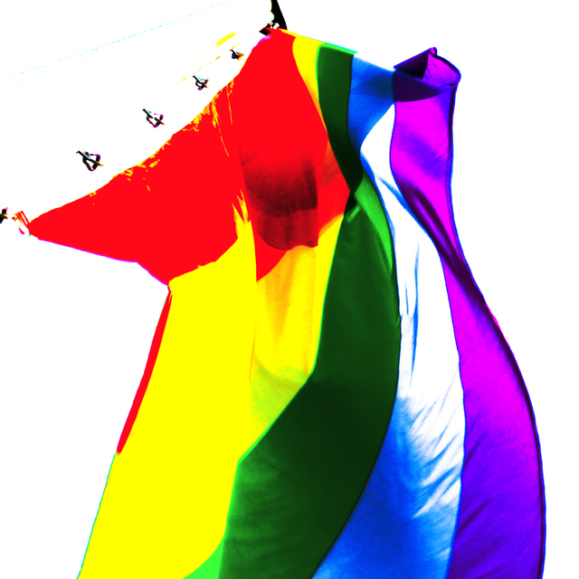 Rainbow Flag V - ID 011113