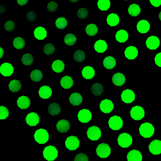 Green LED Sign - ID 011145