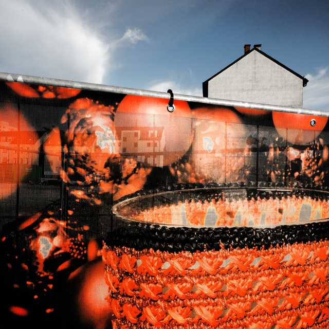 Blind III - ID 011162