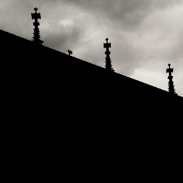 Sparrow on Minster I - ID 011191