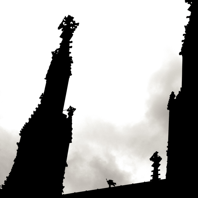 Sparrow on Minster III - ID 011193