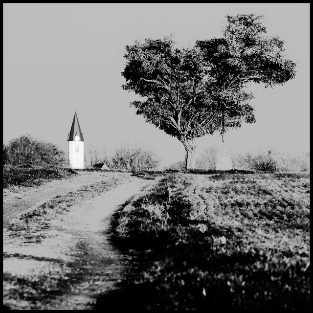 November Tree and Clock - ID 011225