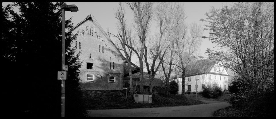 November Street with Trees - ID 011228