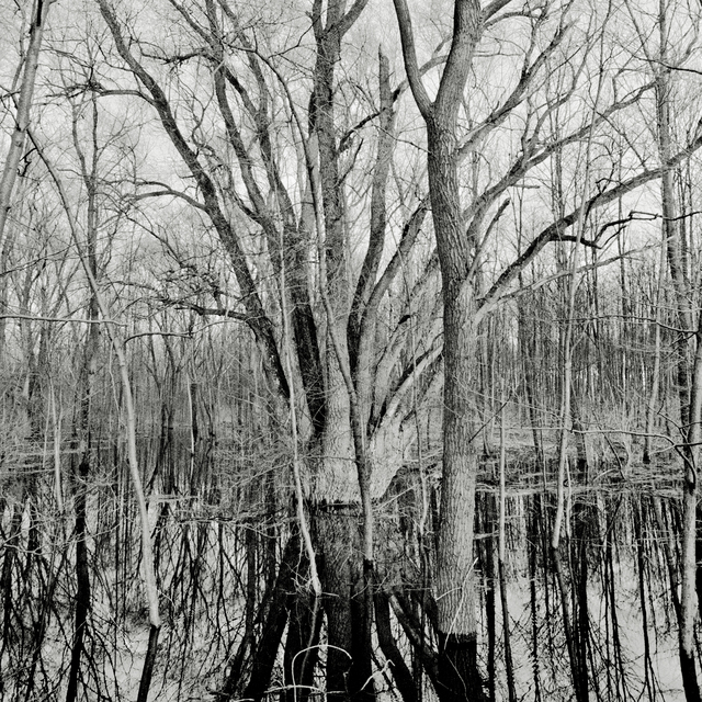 Flodding II - ID 011239