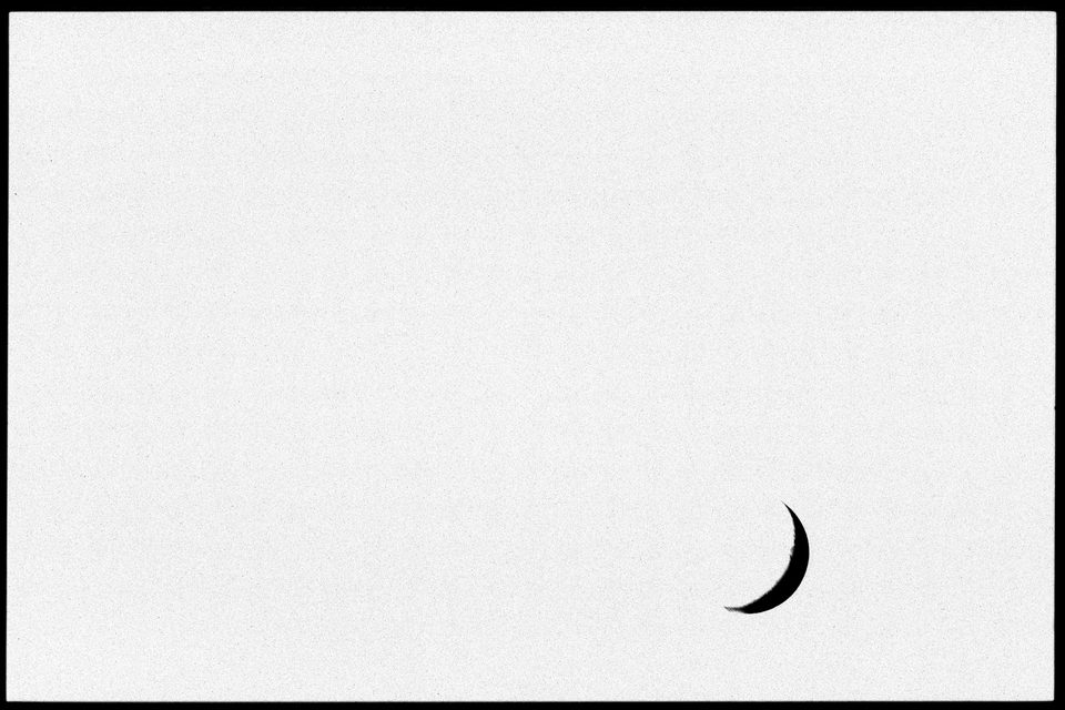 Sickle - ID 011260