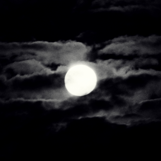 Bright Moon - ID 011277
