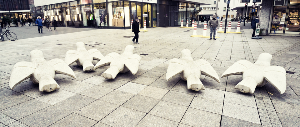 Sparrow Protection I - ID 011317