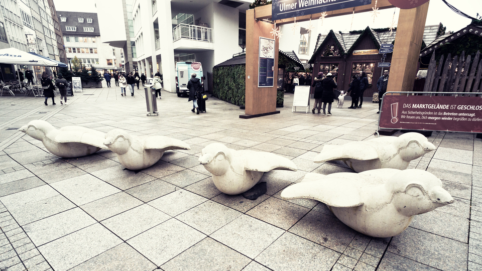 Sparrow Protection II - ID 011318