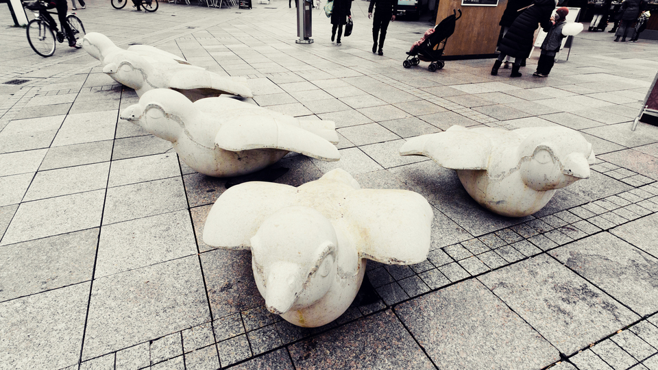 Sparrow Protection V - ID 011321