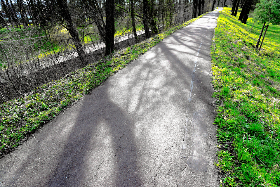 Winter Green and Shadows II - ID 011335
