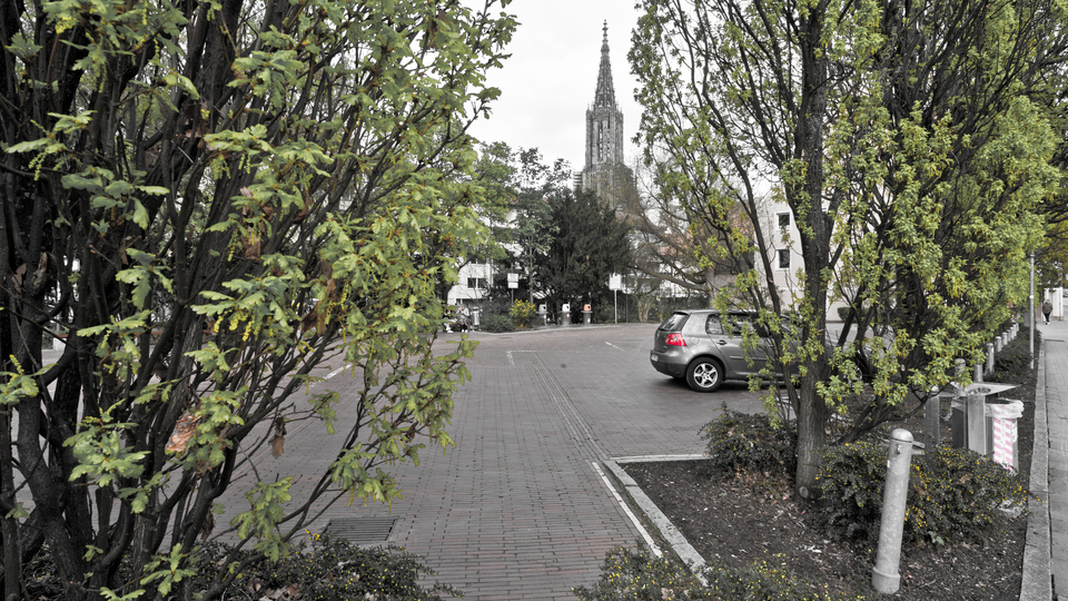 Between and Above All - ID 011379