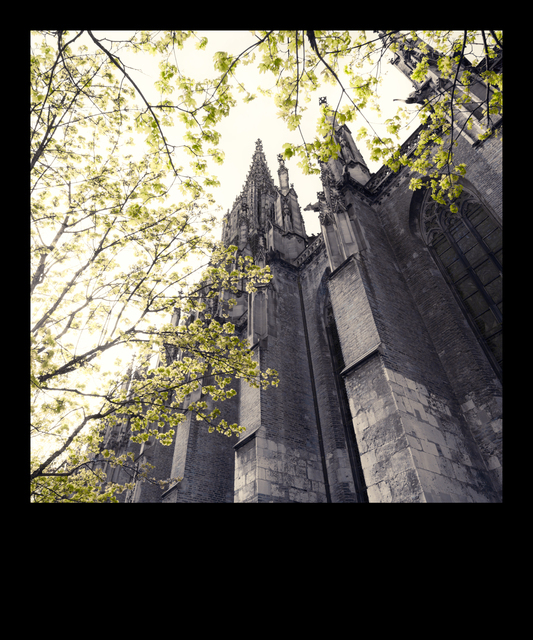 Minster behind Green - ID 011383