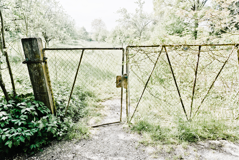 Locked Garden - ID 011429