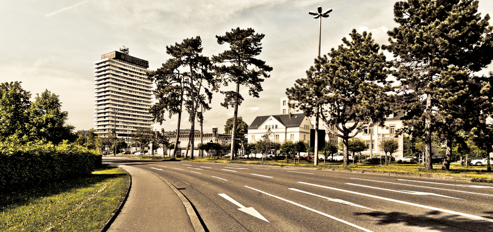 Universum Ahead - ID 011440