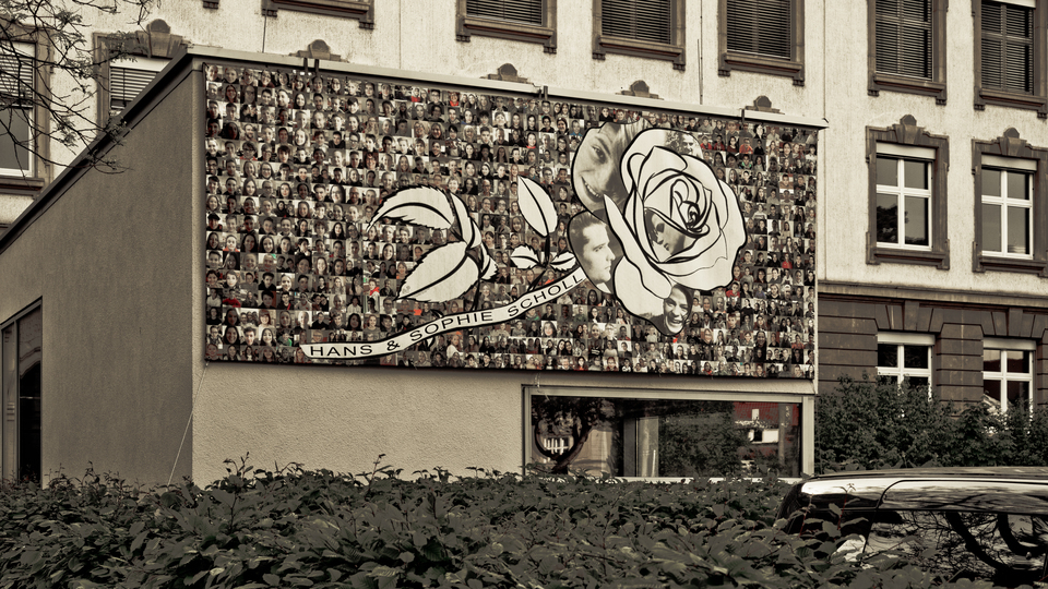 H and S Scholl School - ID 011443