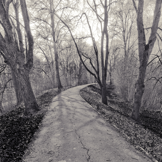 Winter Glacis IV - ID 011452