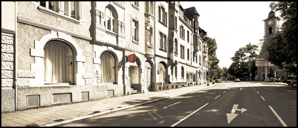 Red Rose - ID 011481