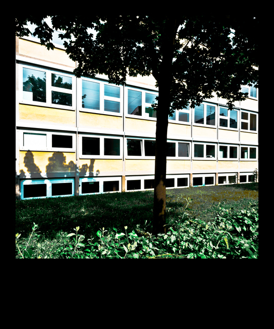 Tree before School - ID 011579