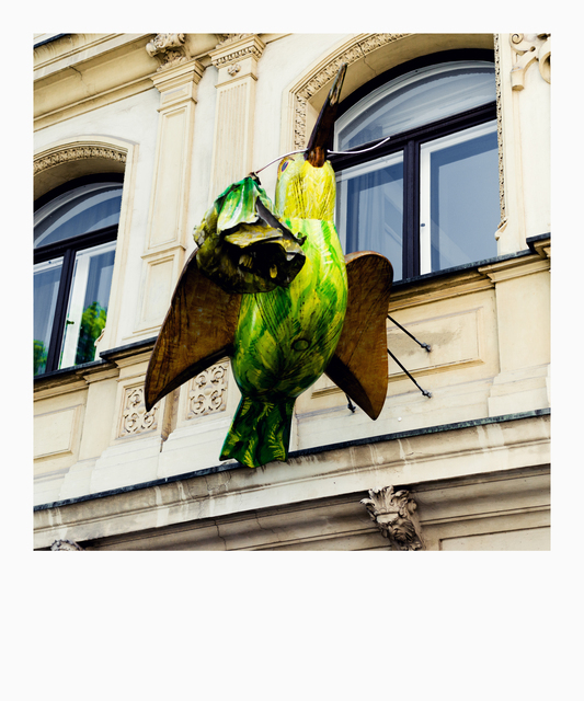 Green Sparrow - ID 011607