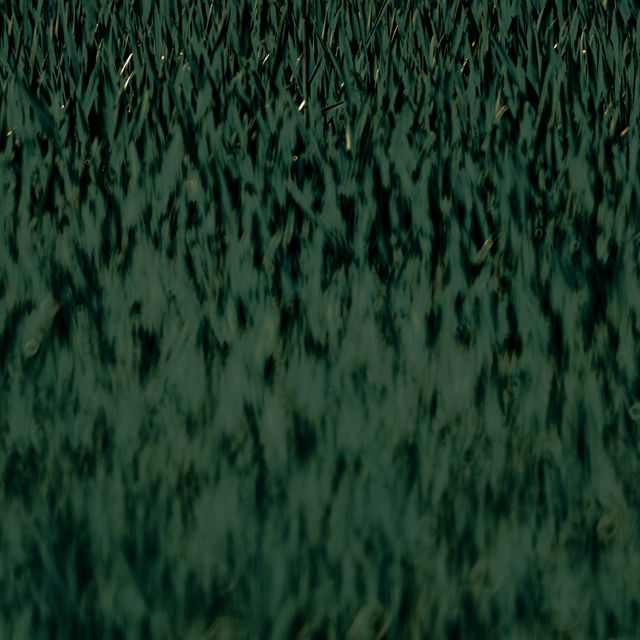 Green Field III - ID 011627