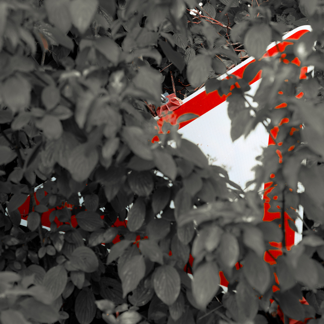 Behind the Plants - ID 011659