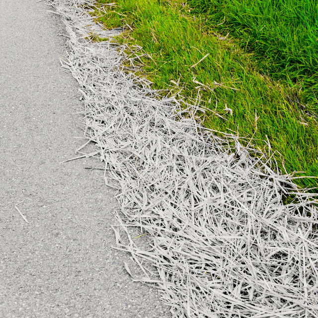 Straw and Green II - ID 011692