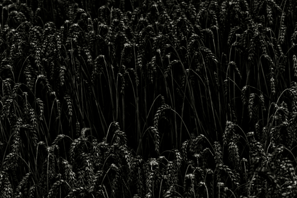 Black Hole - ID 011720