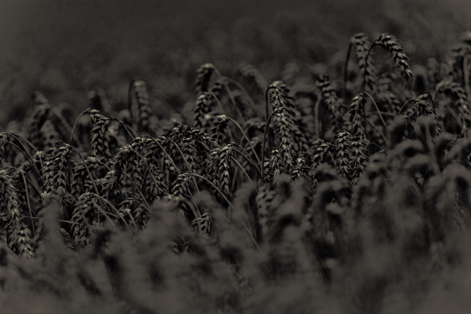 Dark Grey with Highlights II - ID 011725