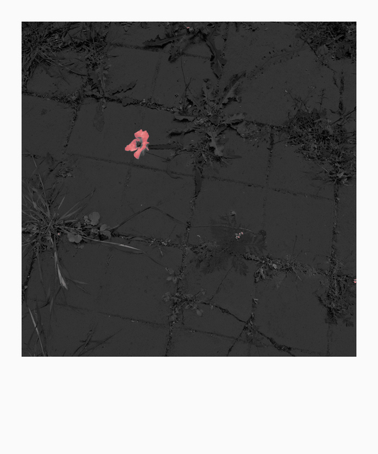 A bit Red - ID 011760