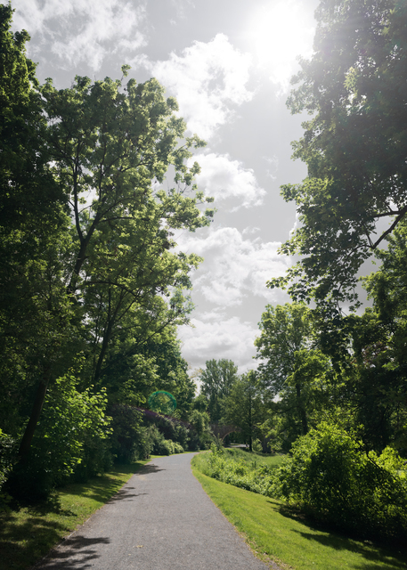 Weimar Ilm Park - ID 011782