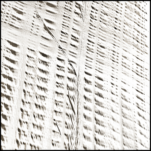 Fabric III - ID 011789