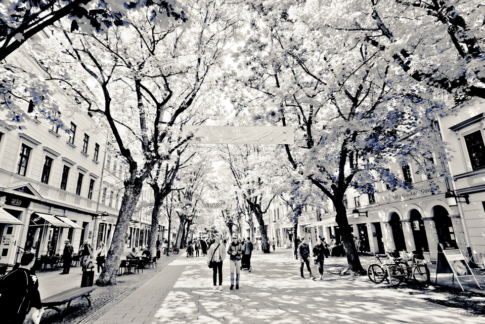 Inside Weimar - ID 011795