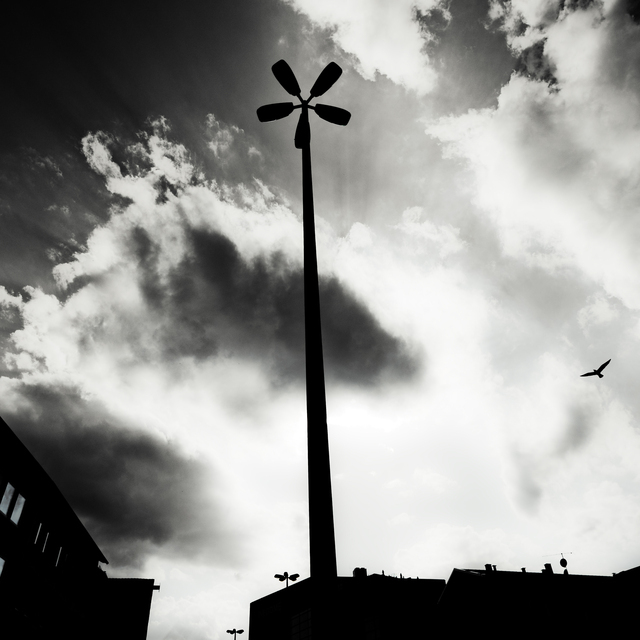 Light Pole - ID 011848