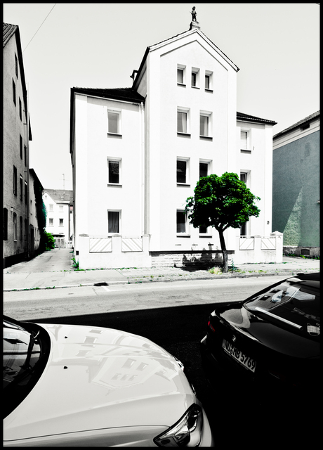 White House Green Tree - ID 011885