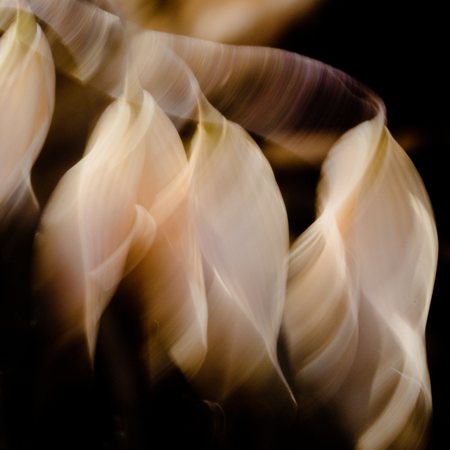 Out in wind - ID 011926